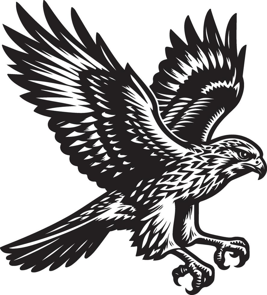 harrier bird illustration black vector