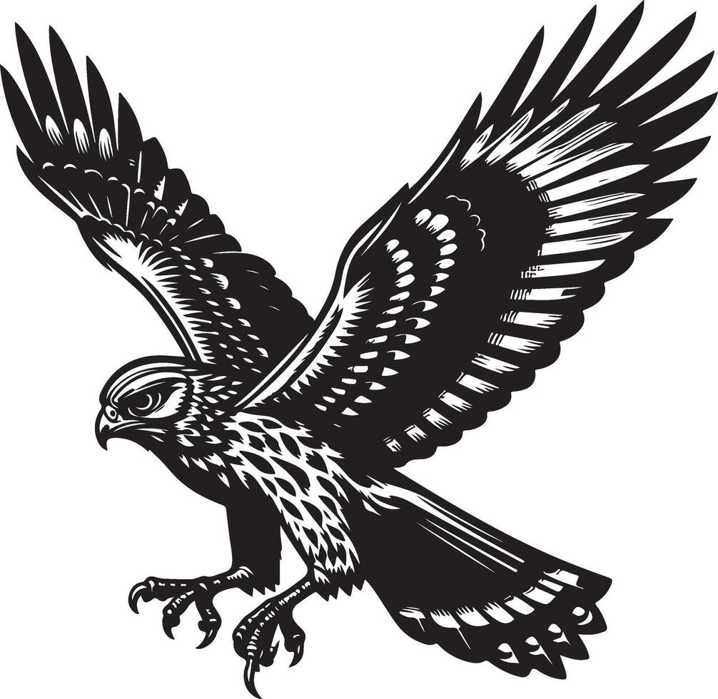 harrier bird illustration black vector