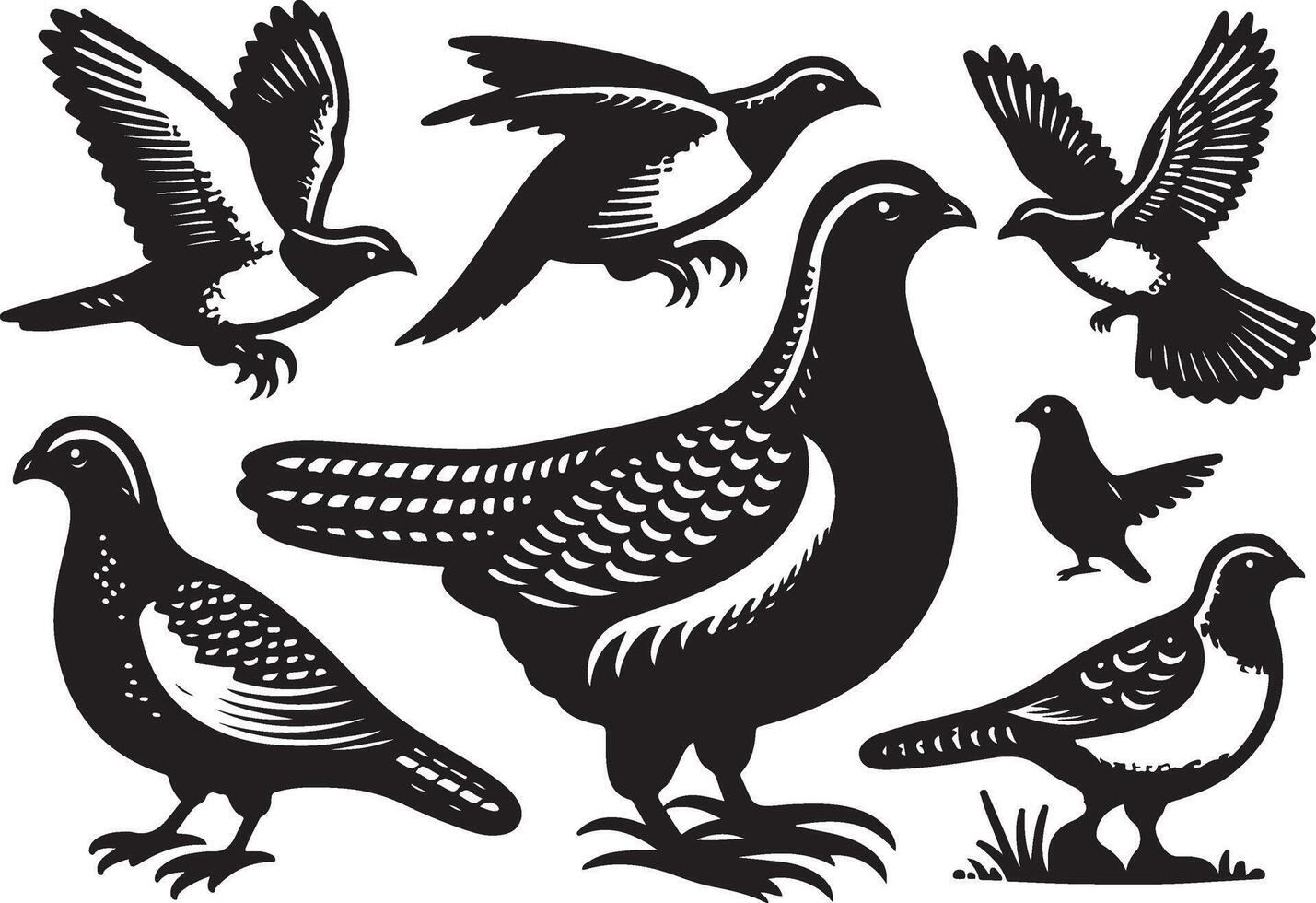 grouse bundle illustration black vector