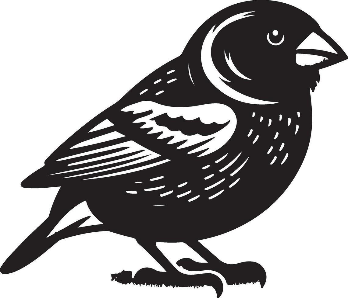 grosbeak Illustration black vector