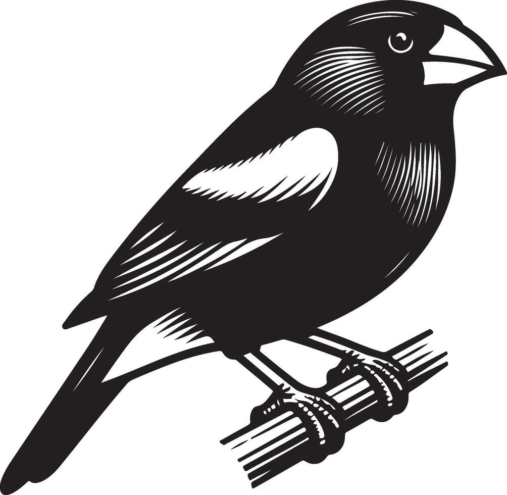 grosbeak Illustration black vector
