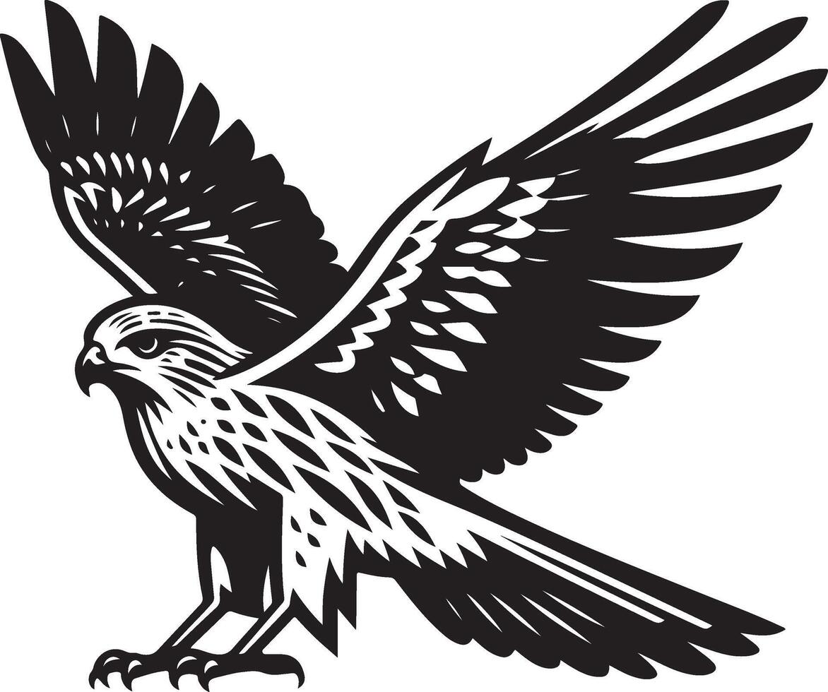 harrier bird illustration black vector