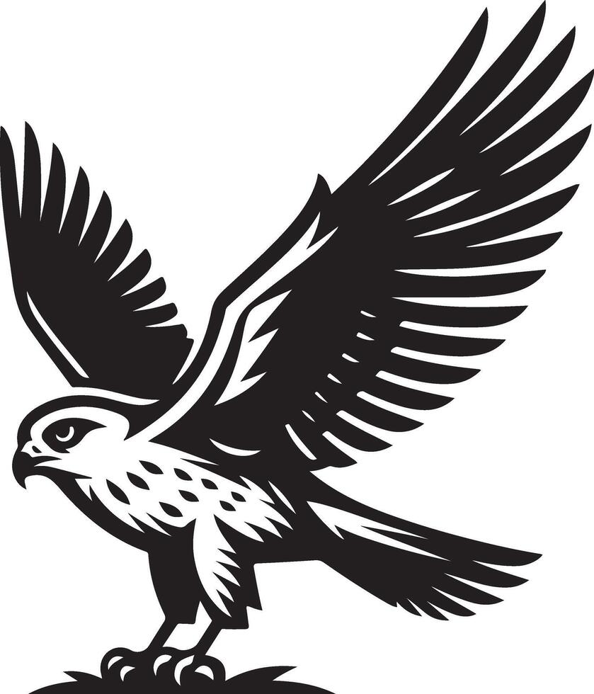 harrier bird illustration black vector