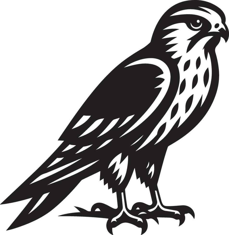 harrier bird illustration black vector