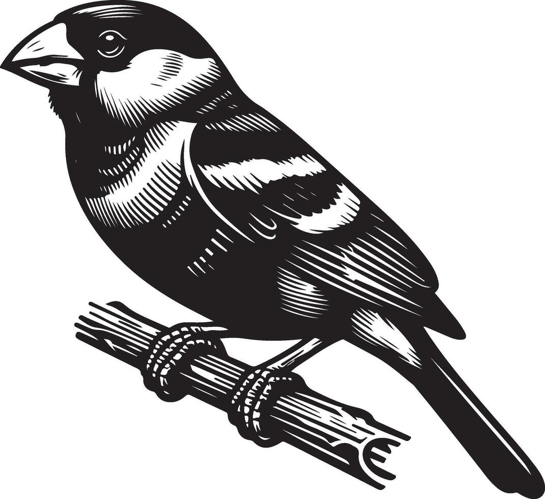 grosbeak Illustration black vector