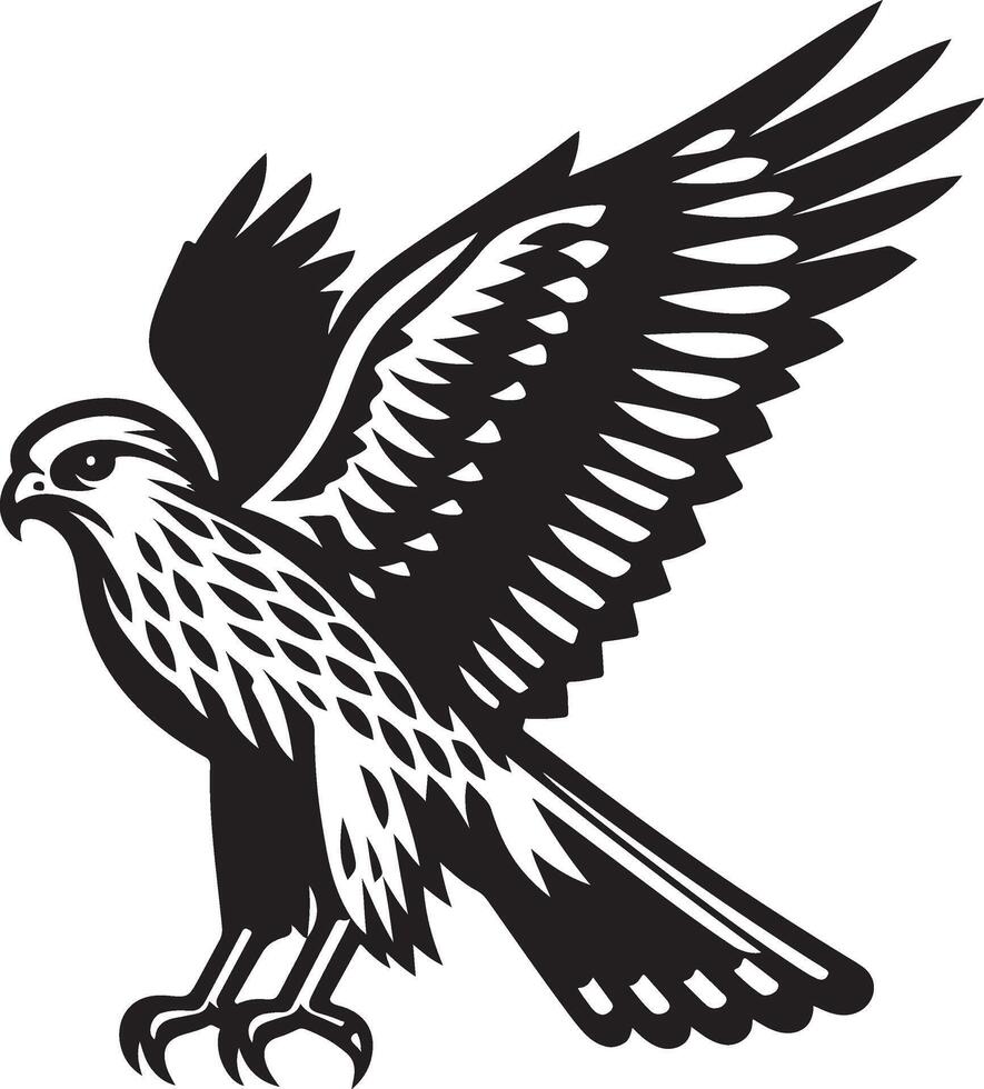 harrier bird illustration black vector