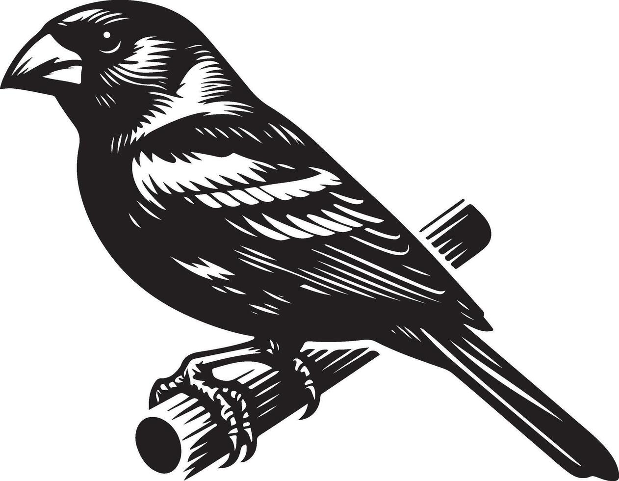 grosbeak Illustration black vector