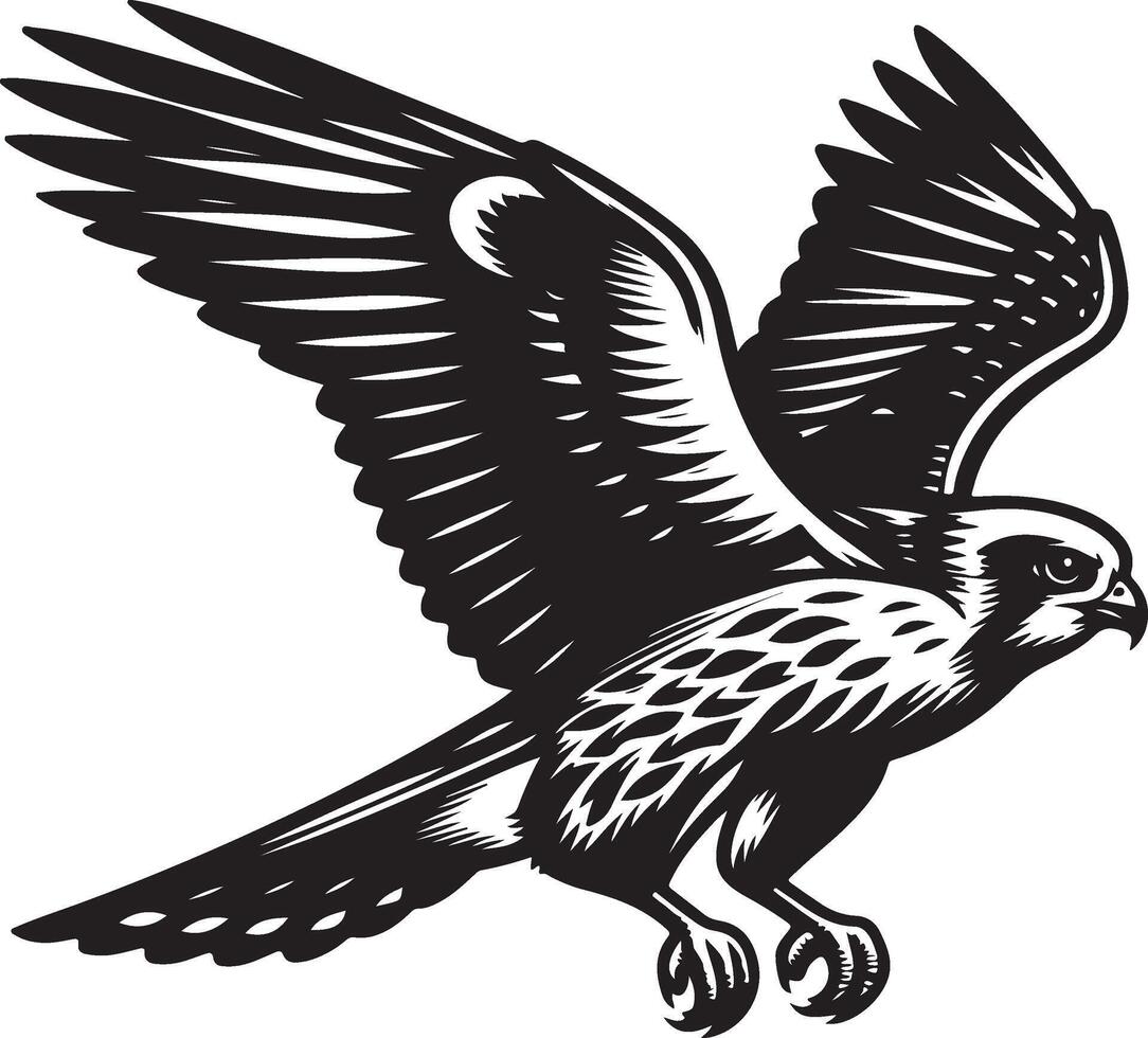 harrier bird illustration black vector
