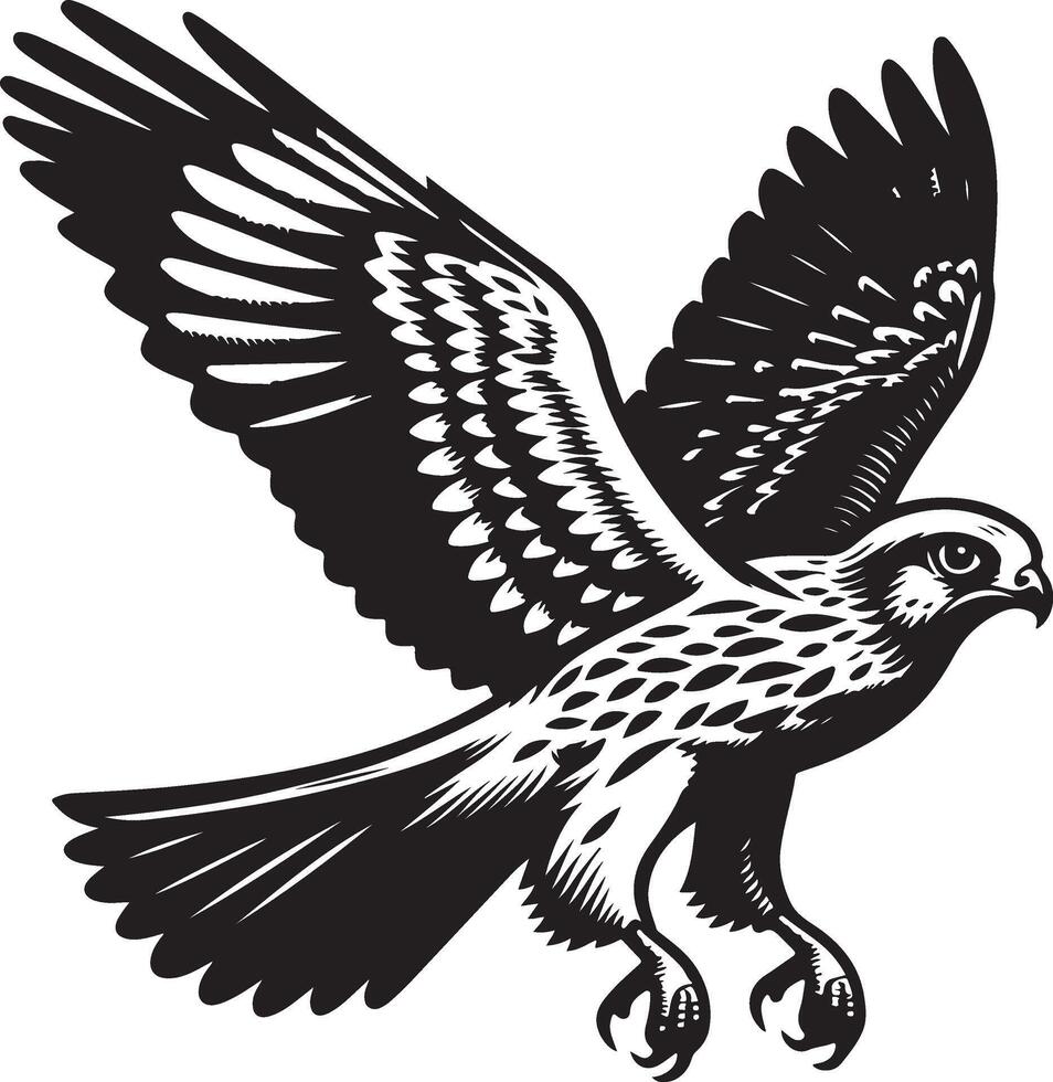 harrier bird illustration black vector