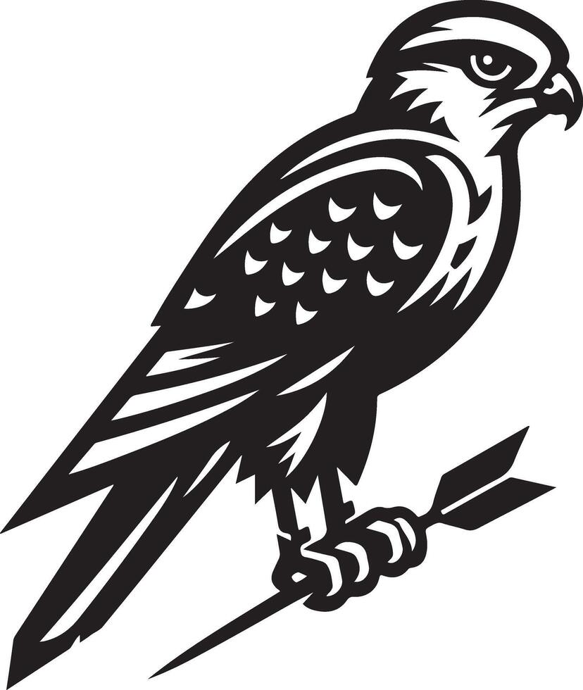 harrier bird illustration black vector