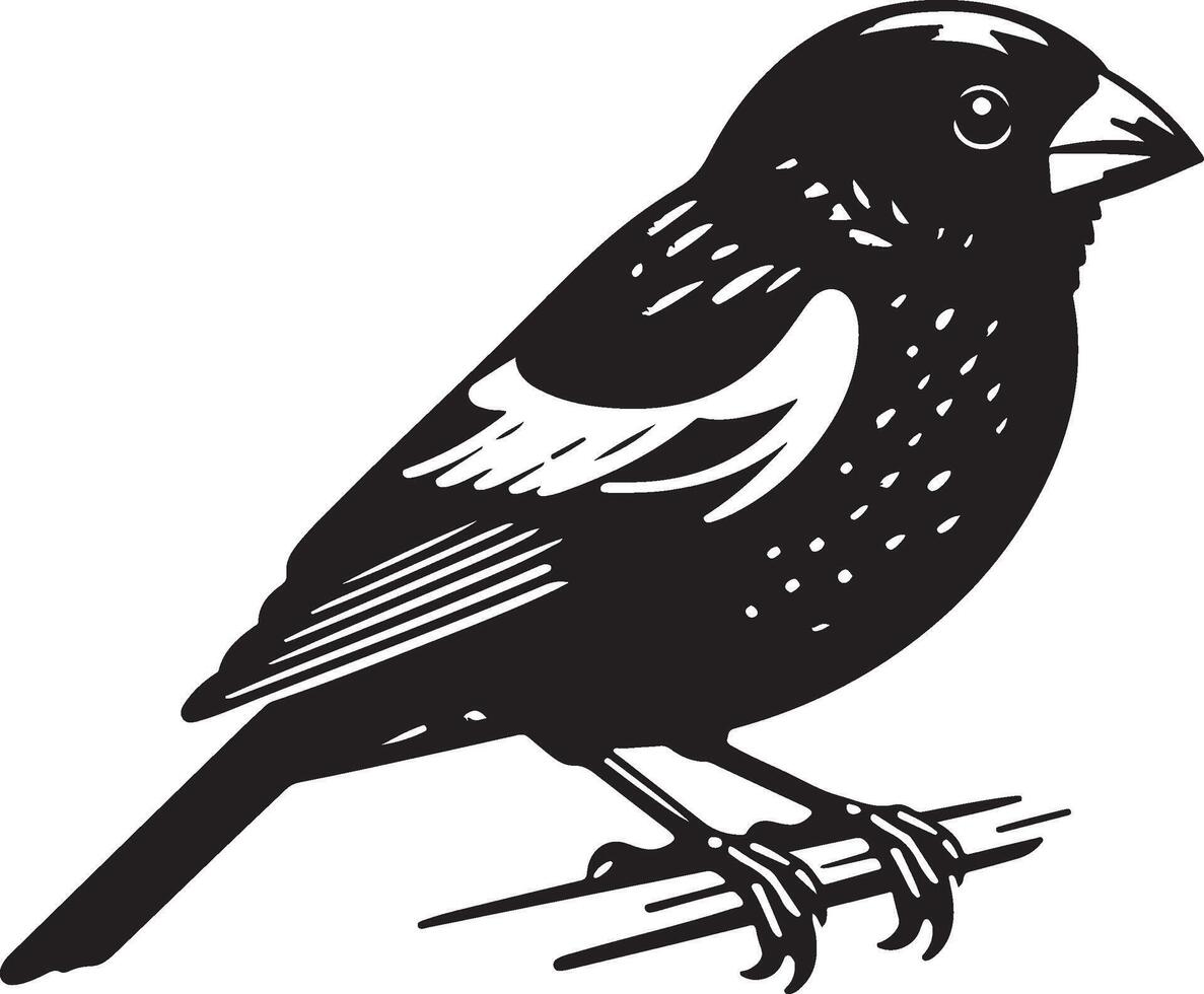 grosbeak Illustration black vector