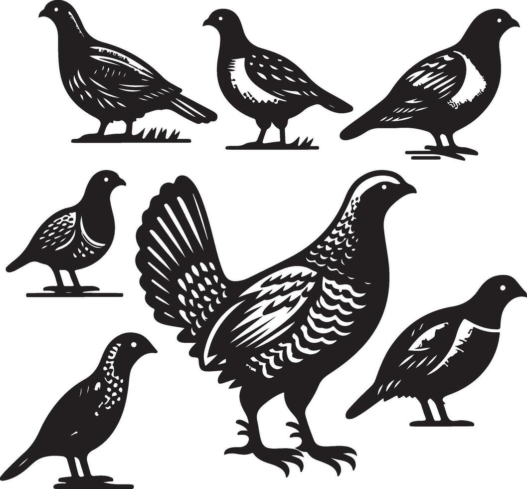 grouse bundle illustration black vector