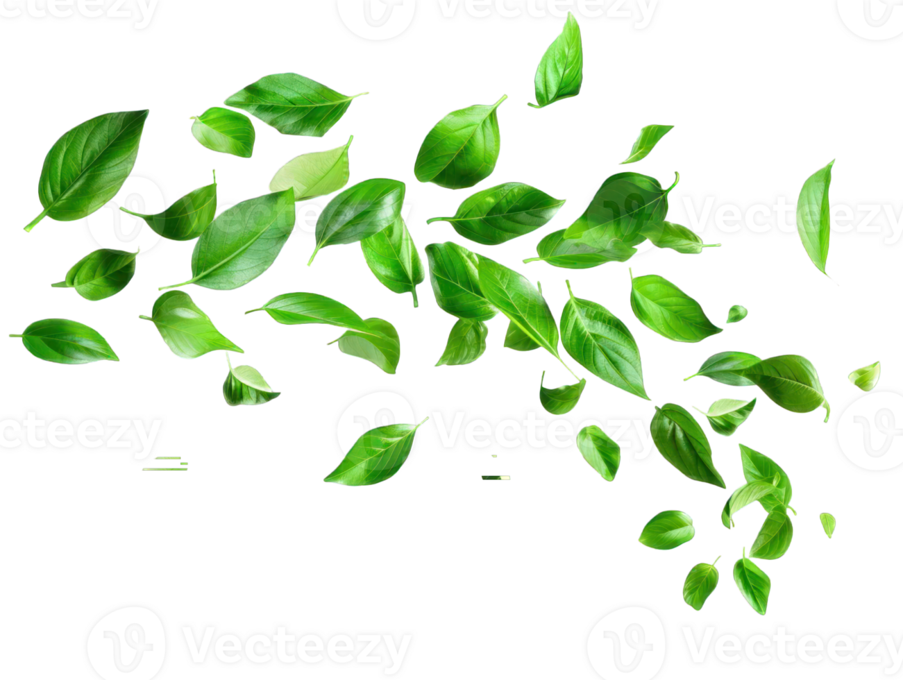 Floating green leaves whirl in the air against, embodying the concept of organic, natural ingredients png