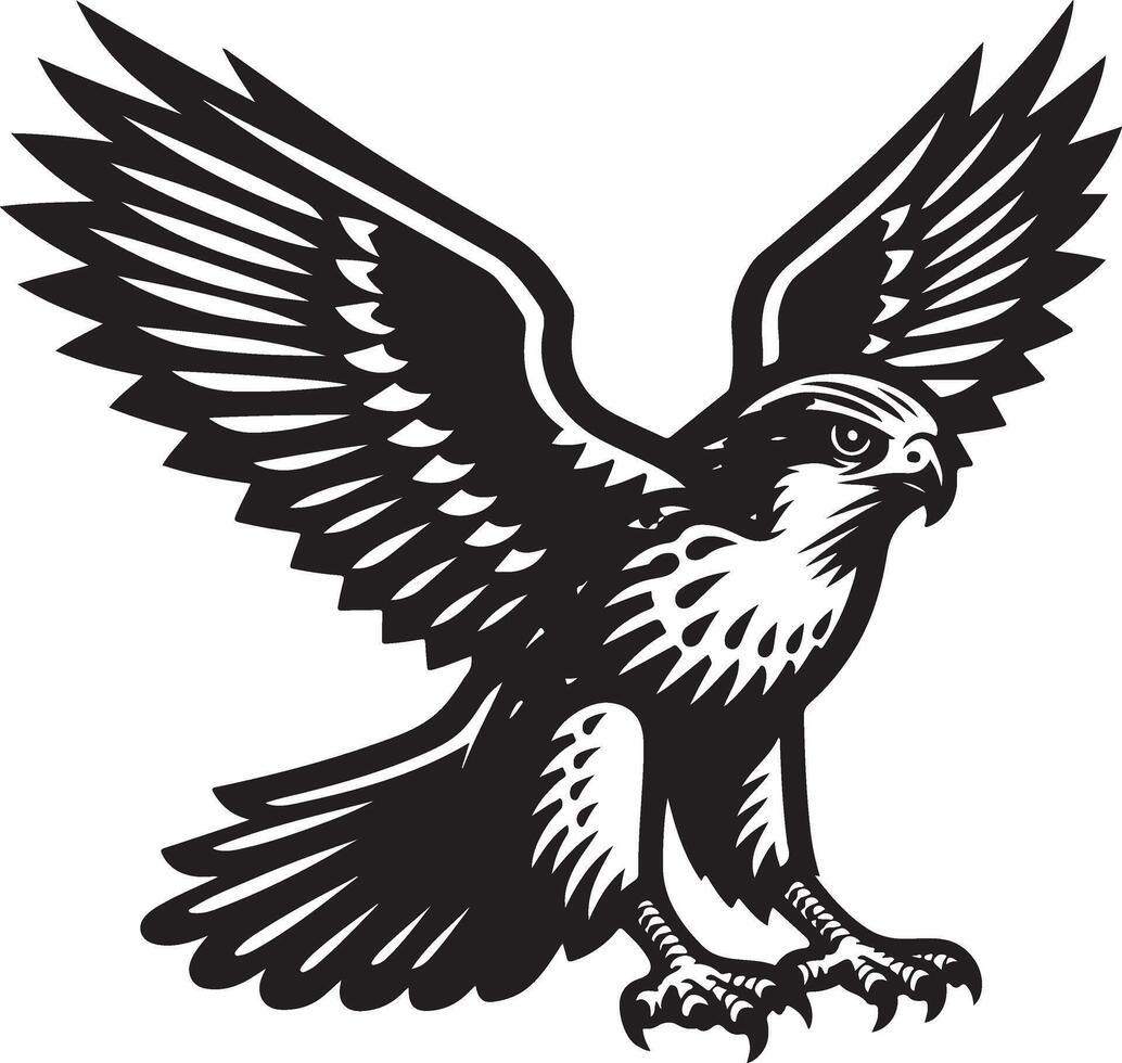 harrier bird illustration black vector