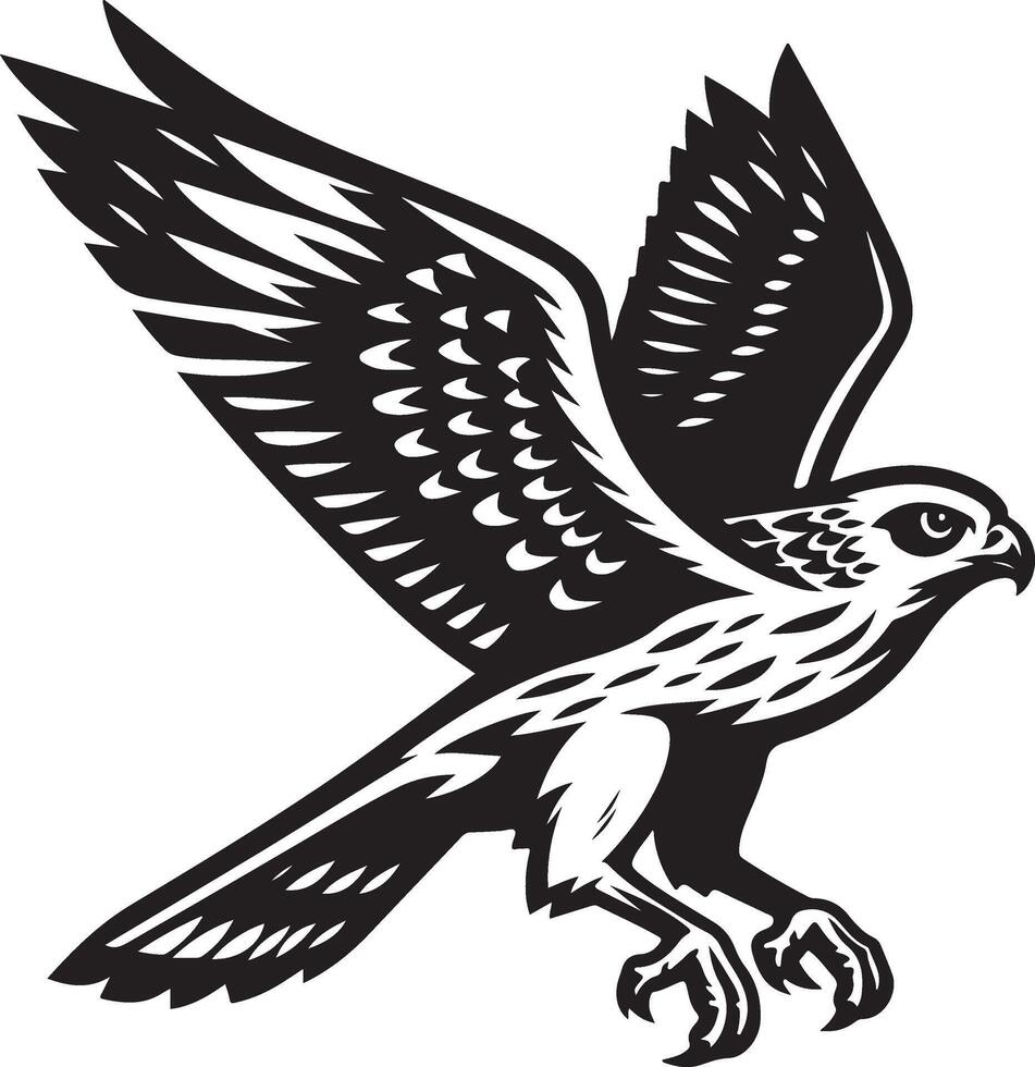 harrier bird illustration black vector
