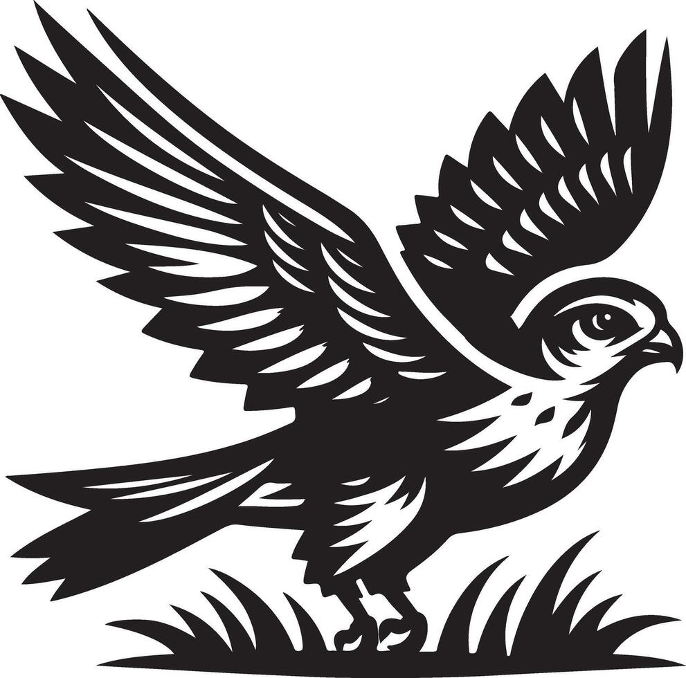 harrier bird illustration black vector