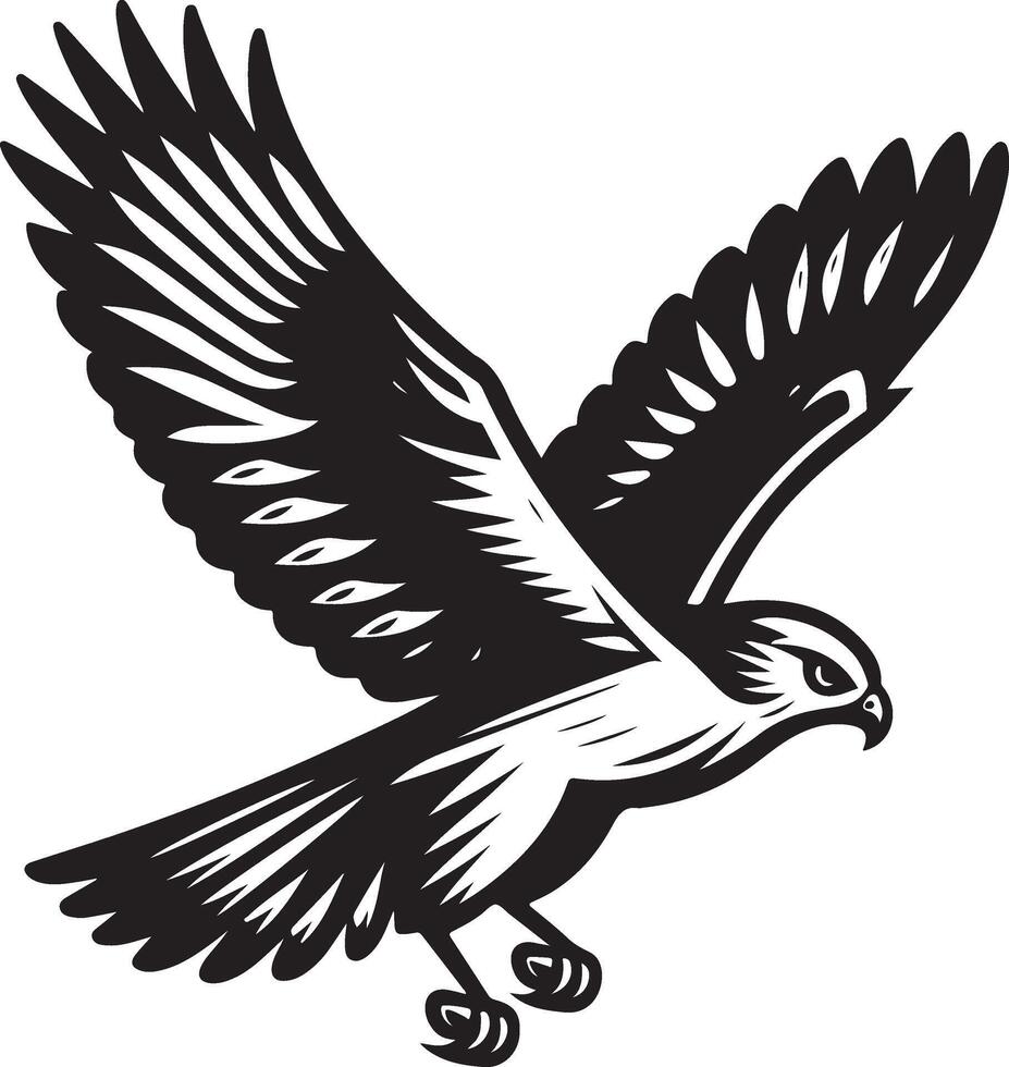 harrier bird illustration black vector
