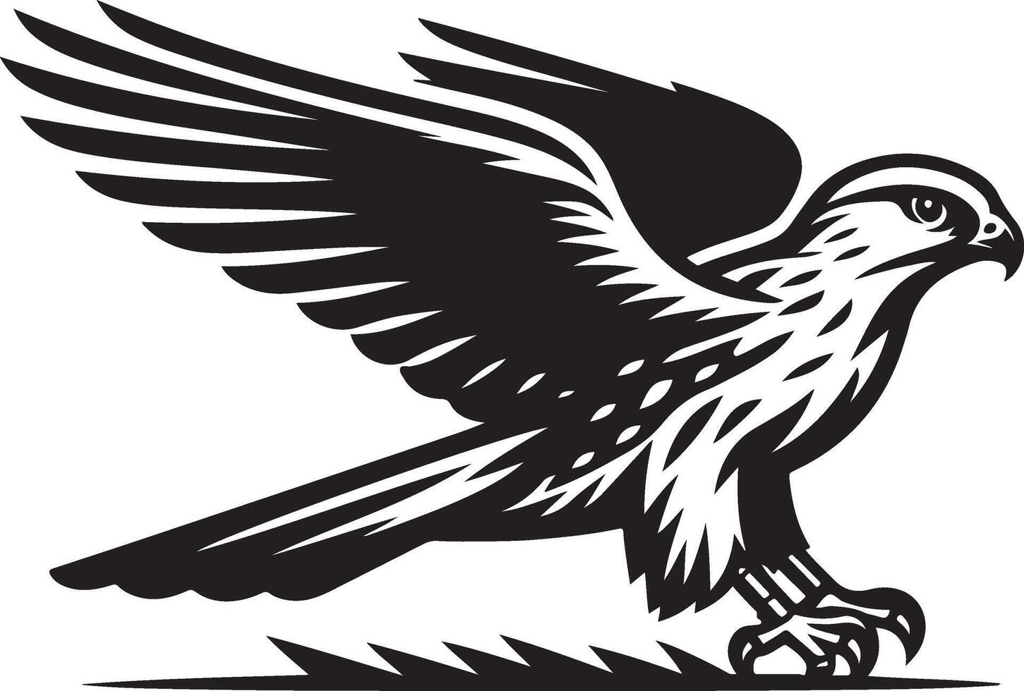 harrier bird illustration black vector