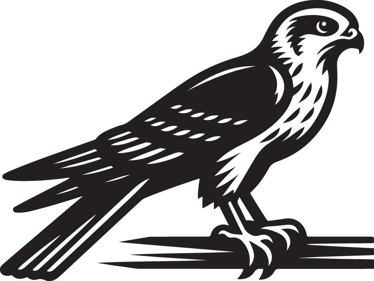harrier bird illustration black vector