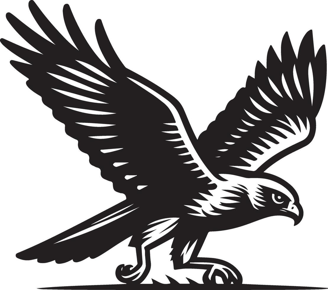 harrier bird illustration black vector