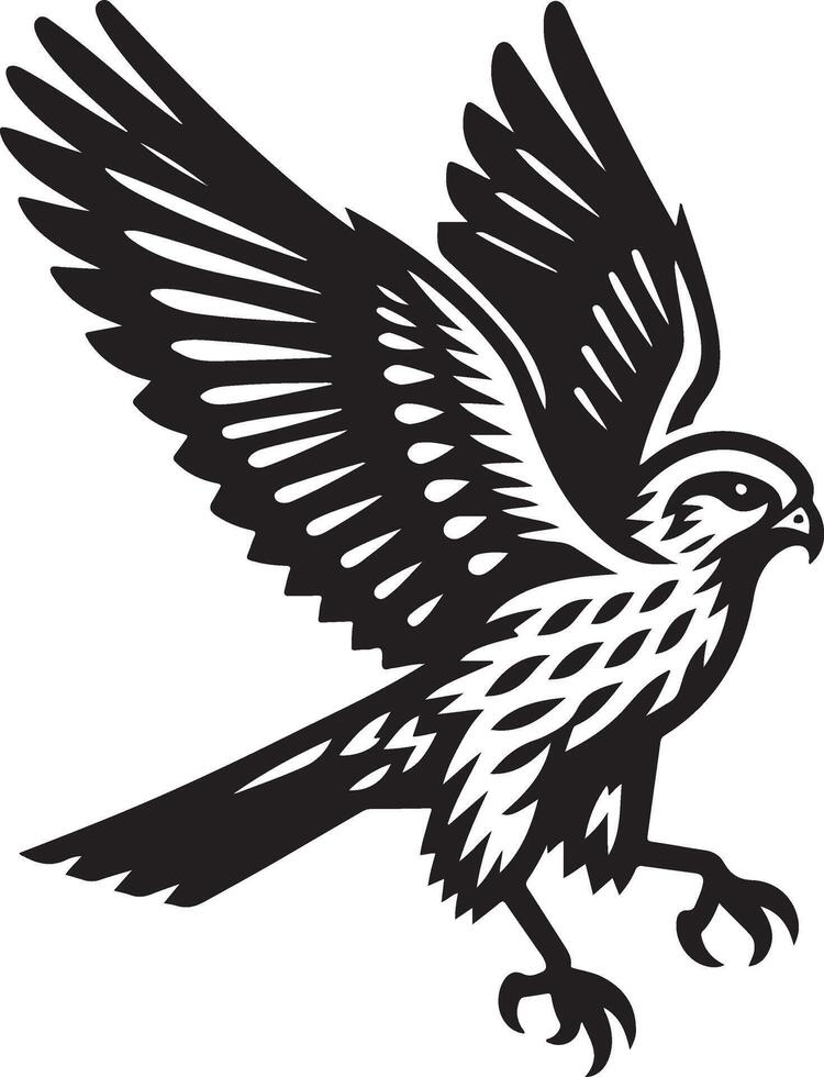 harrier bird illustration black vector