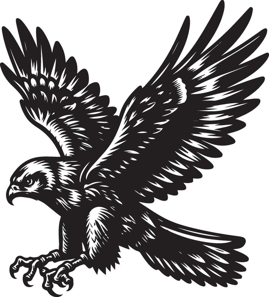 harrier bird illustration black vector