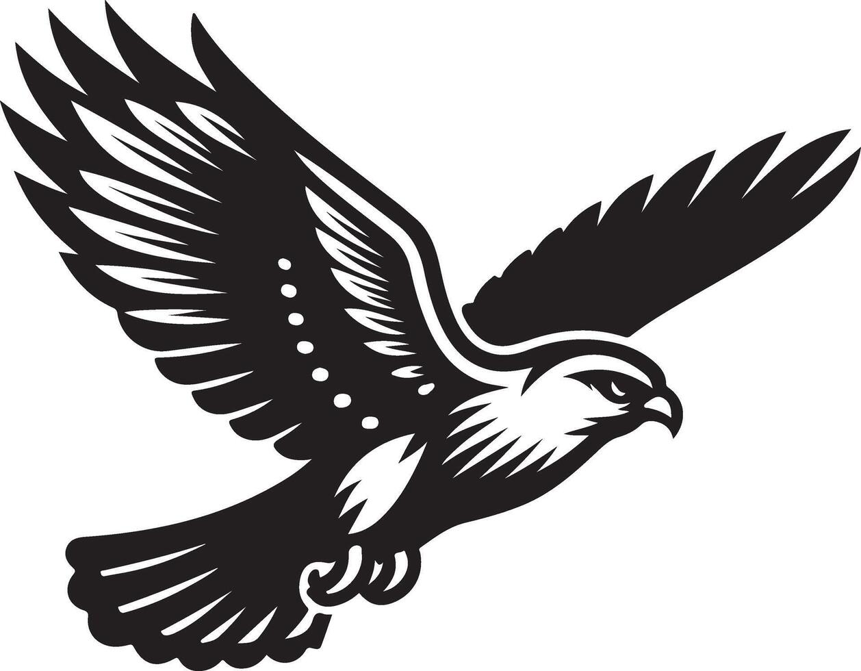 harrier bird illustration black vector