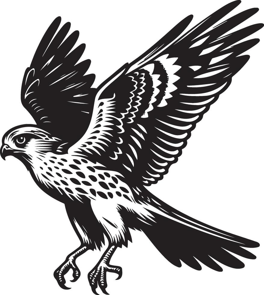 harrier bird illustration black vector