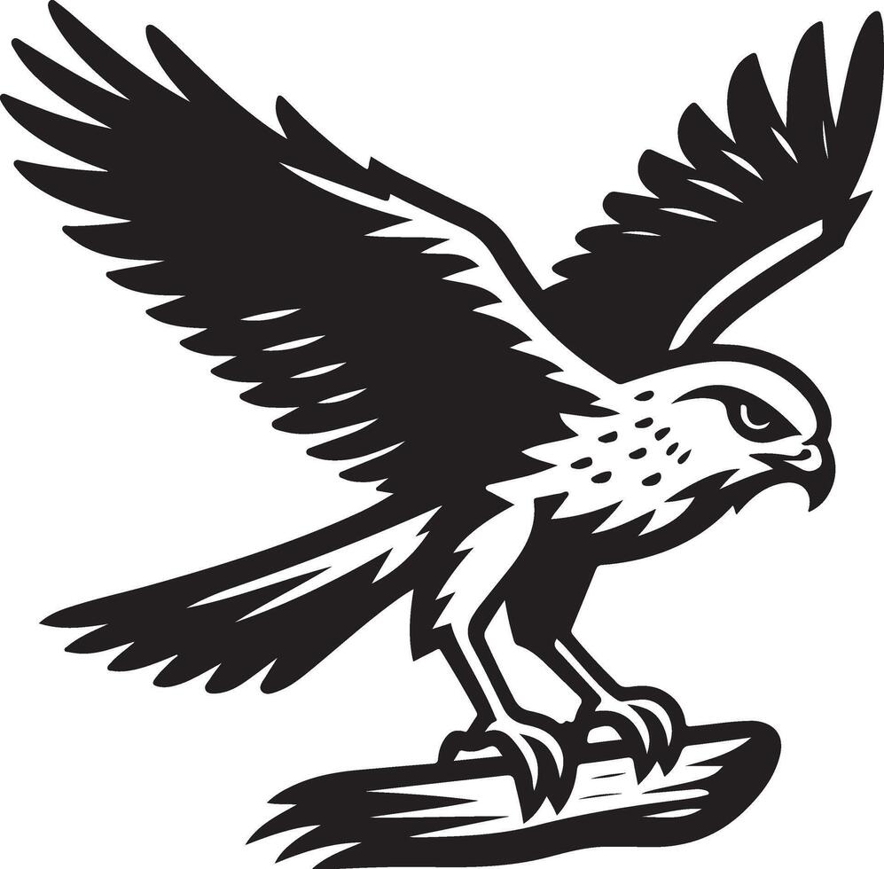 harrier bird illustration black vector
