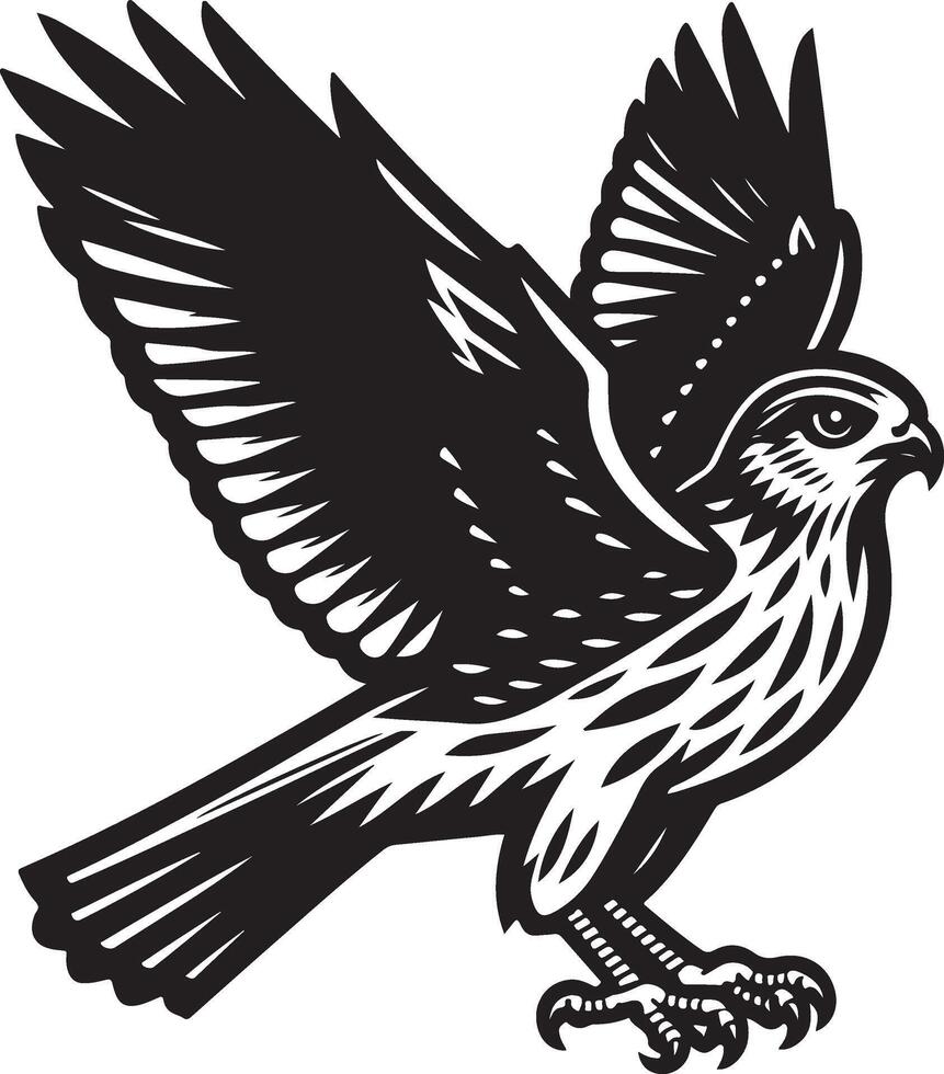 harrier bird illustration black vector