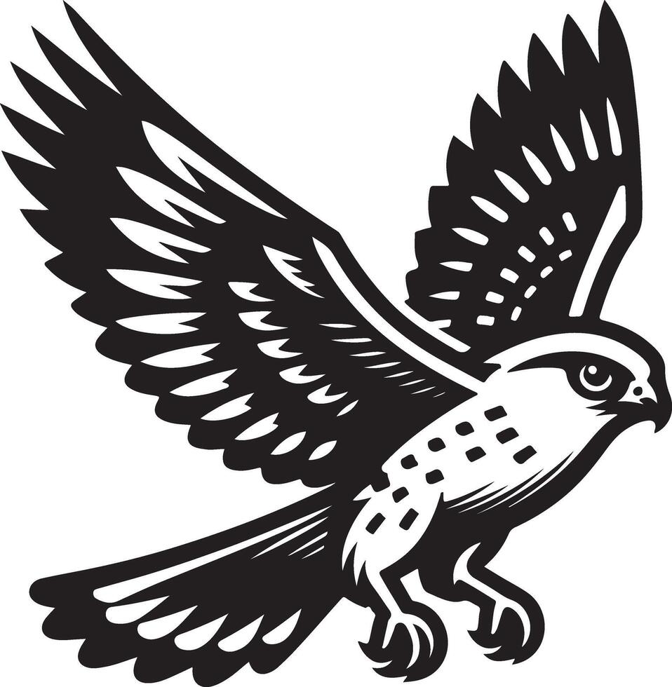 harrier bird illustration black vector