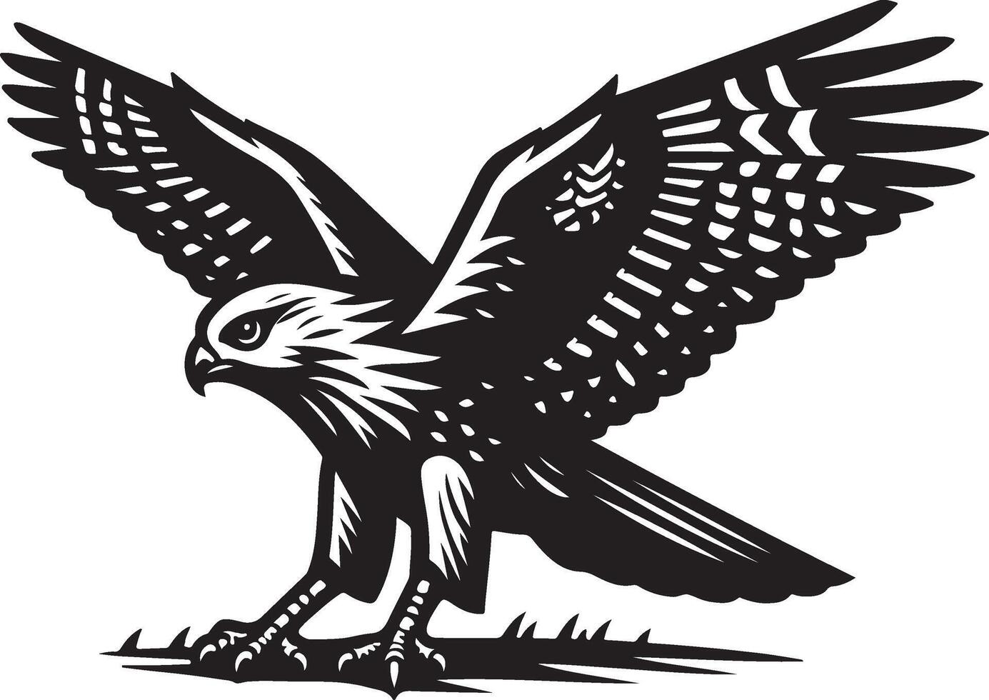 harrier bird illustration black vector