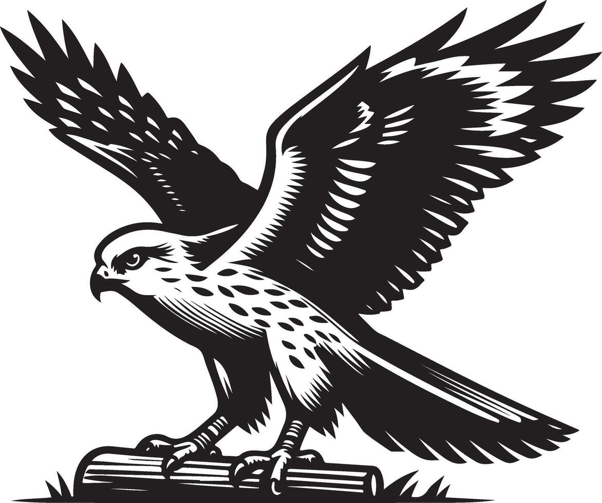 harrier bird illustration black vector
