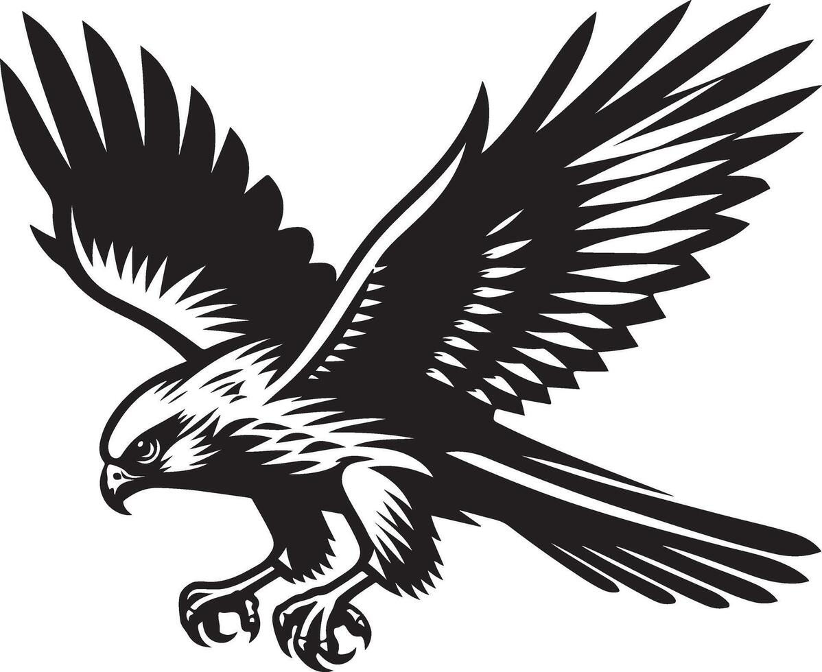 harrier bird illustration black vector