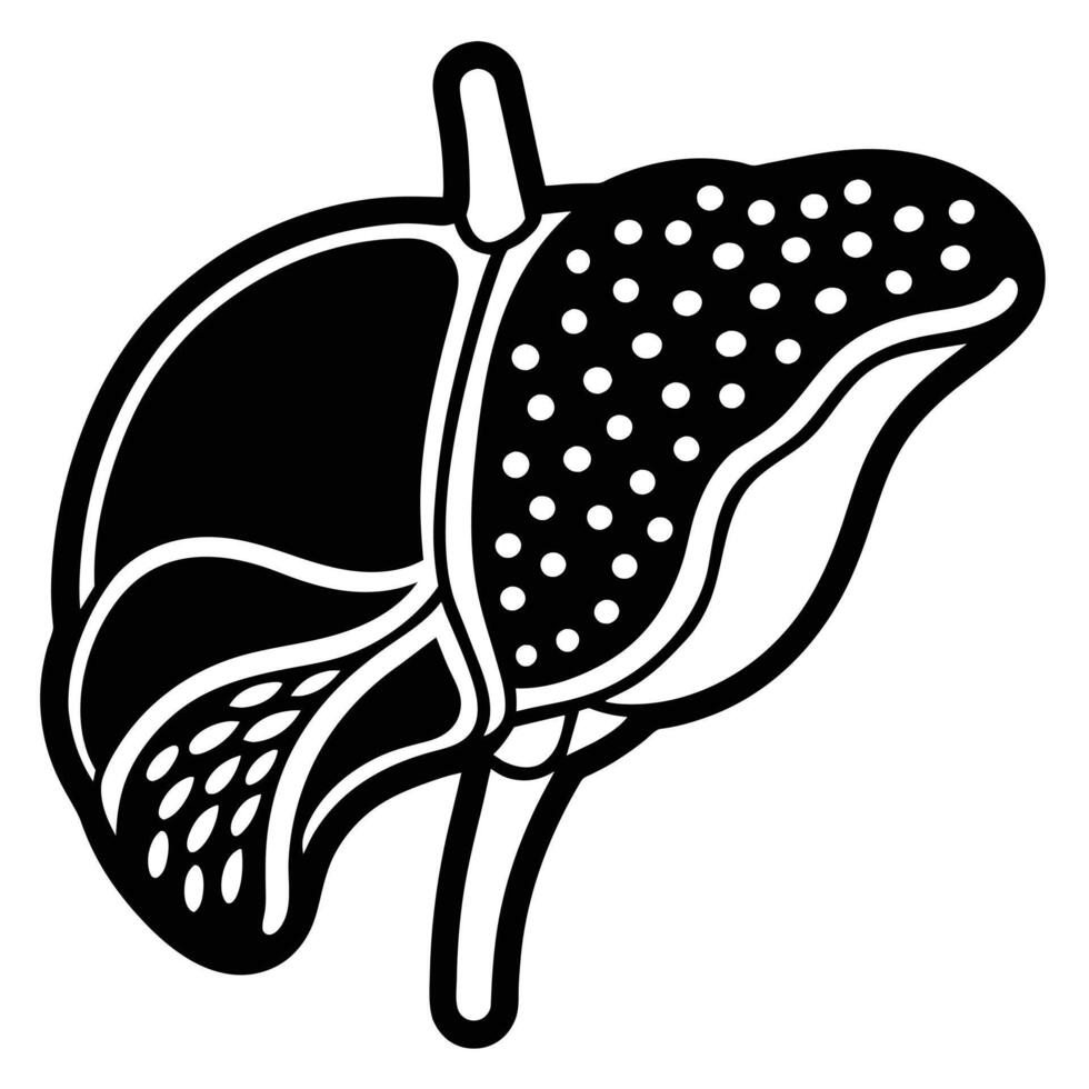 illustration of human organ, liver vector
