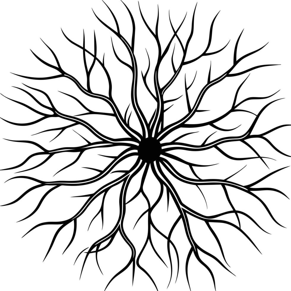 illustration of human organ, blood vessels or nerves vector