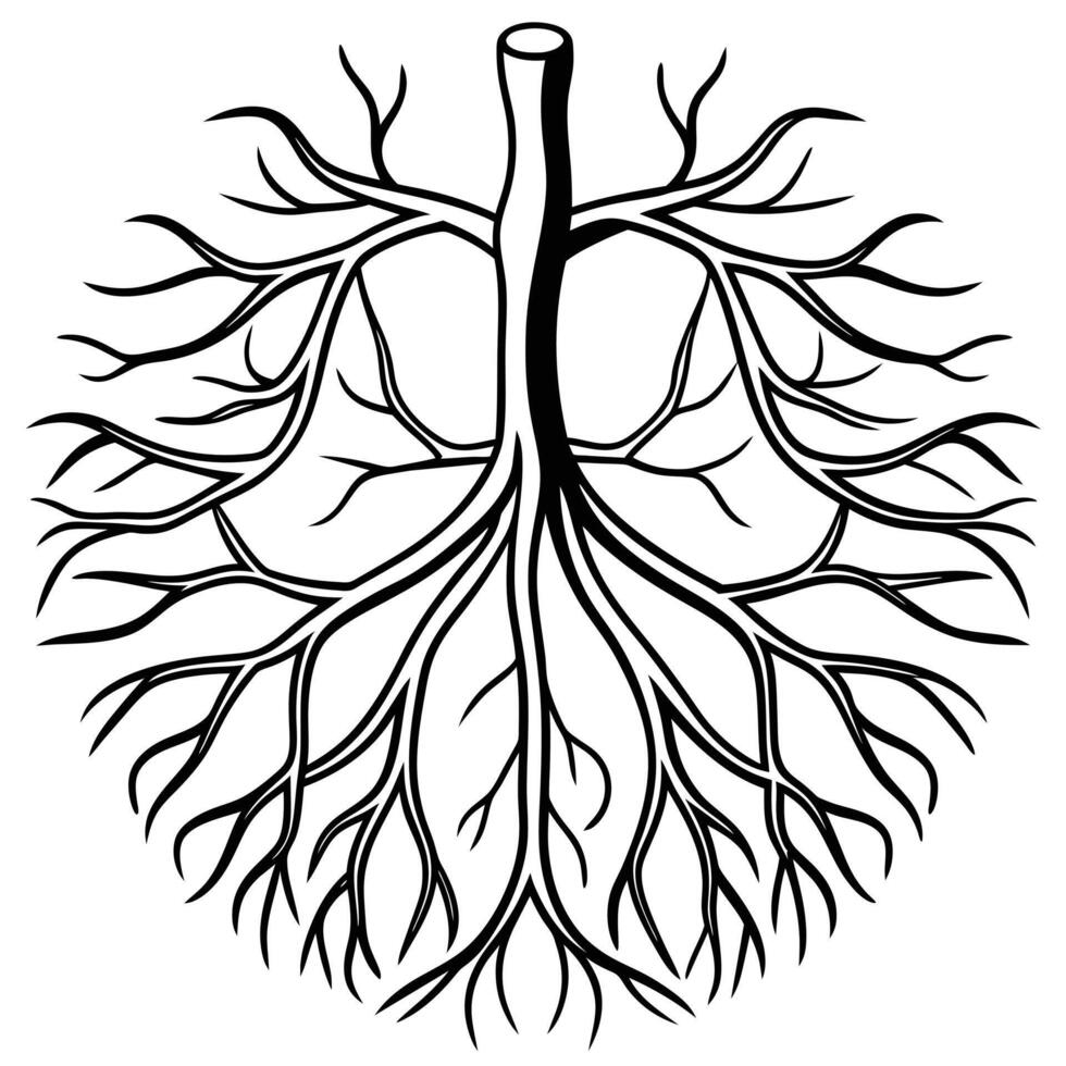 illustration of human organ, blood vessels or nerves vector