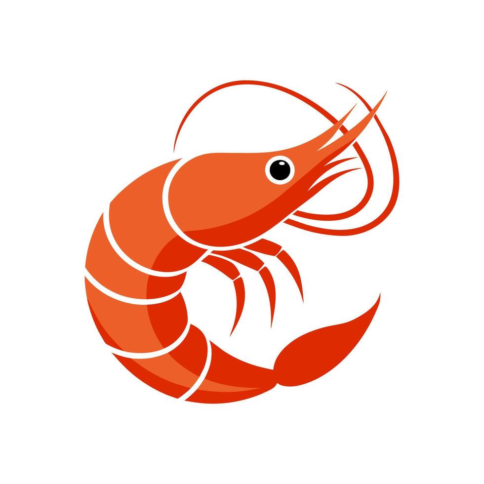 An Orange Prawn vector