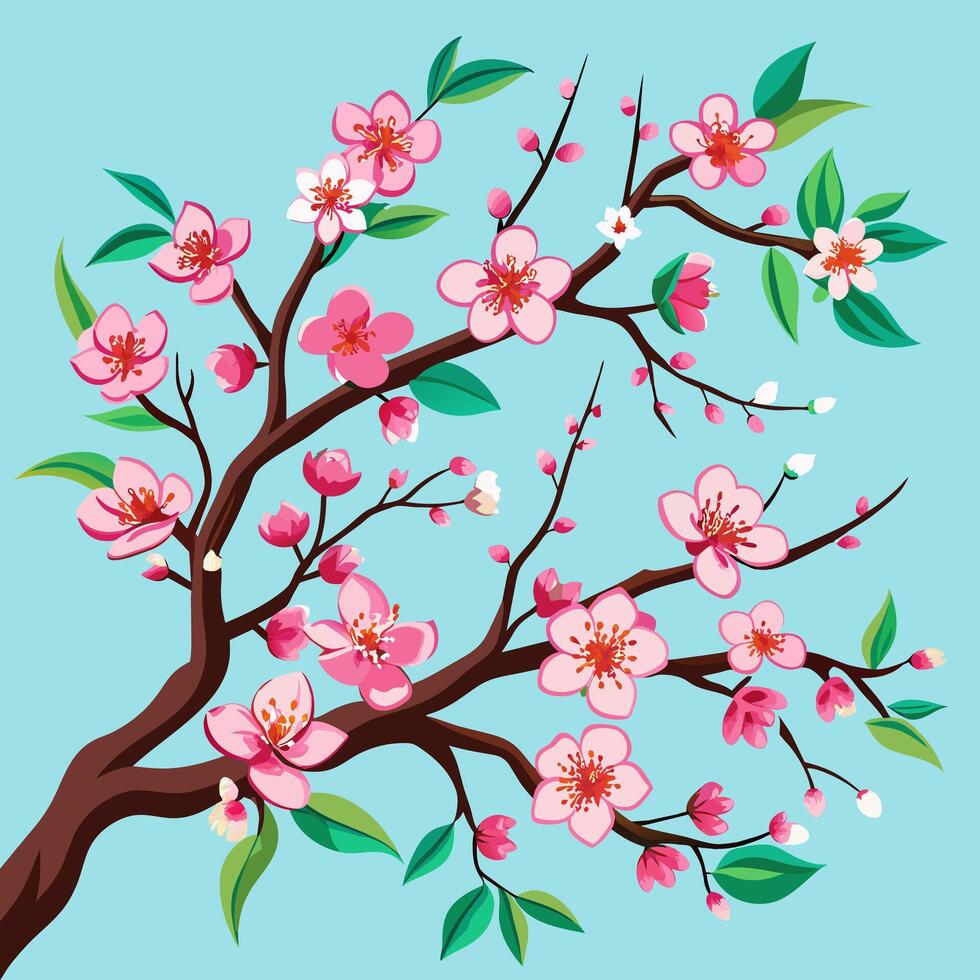 Blossoming Cherry Branches vector