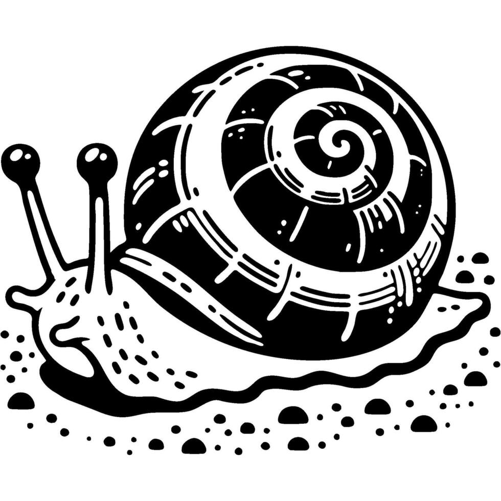 Small garden snail in monochrome. Spiral shell snail. Simple minimalistic in black ink drawing on white background vector