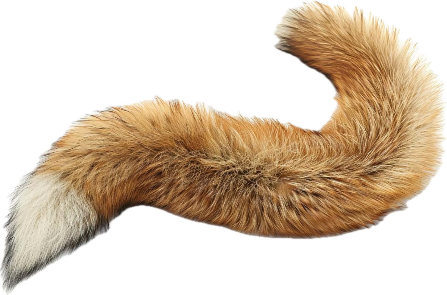 Close-Up of Fluffy Fox Tail. png