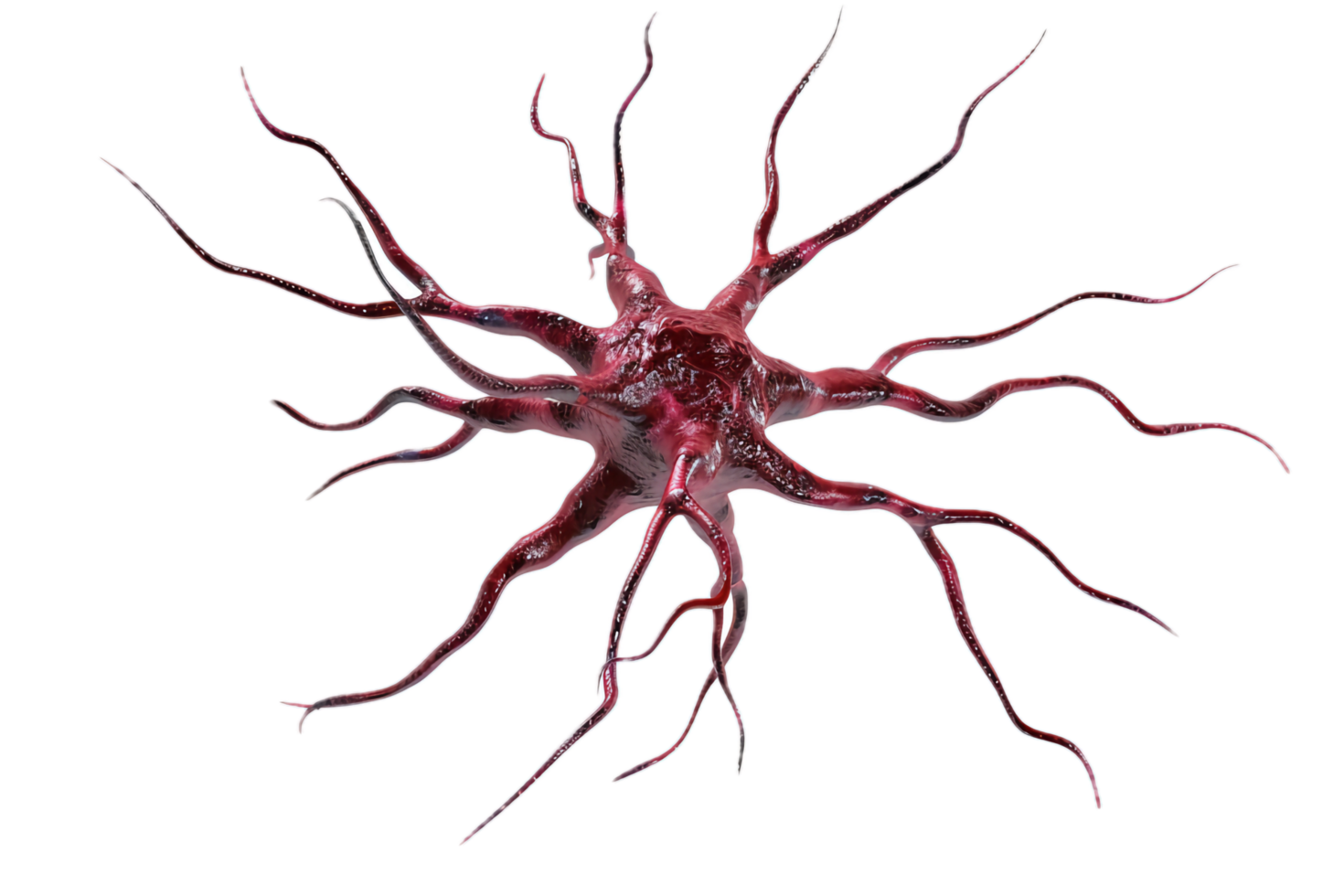 Microscopic View of Human Neuron Cell. png