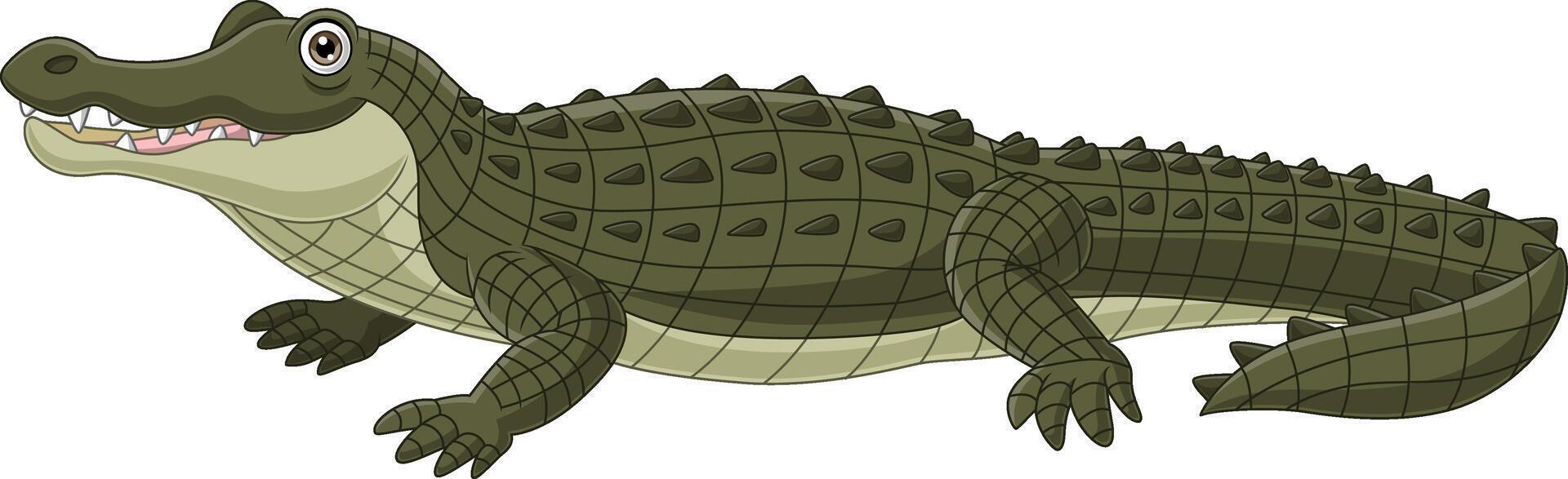 Cartoon crocodile isolated on white background vector