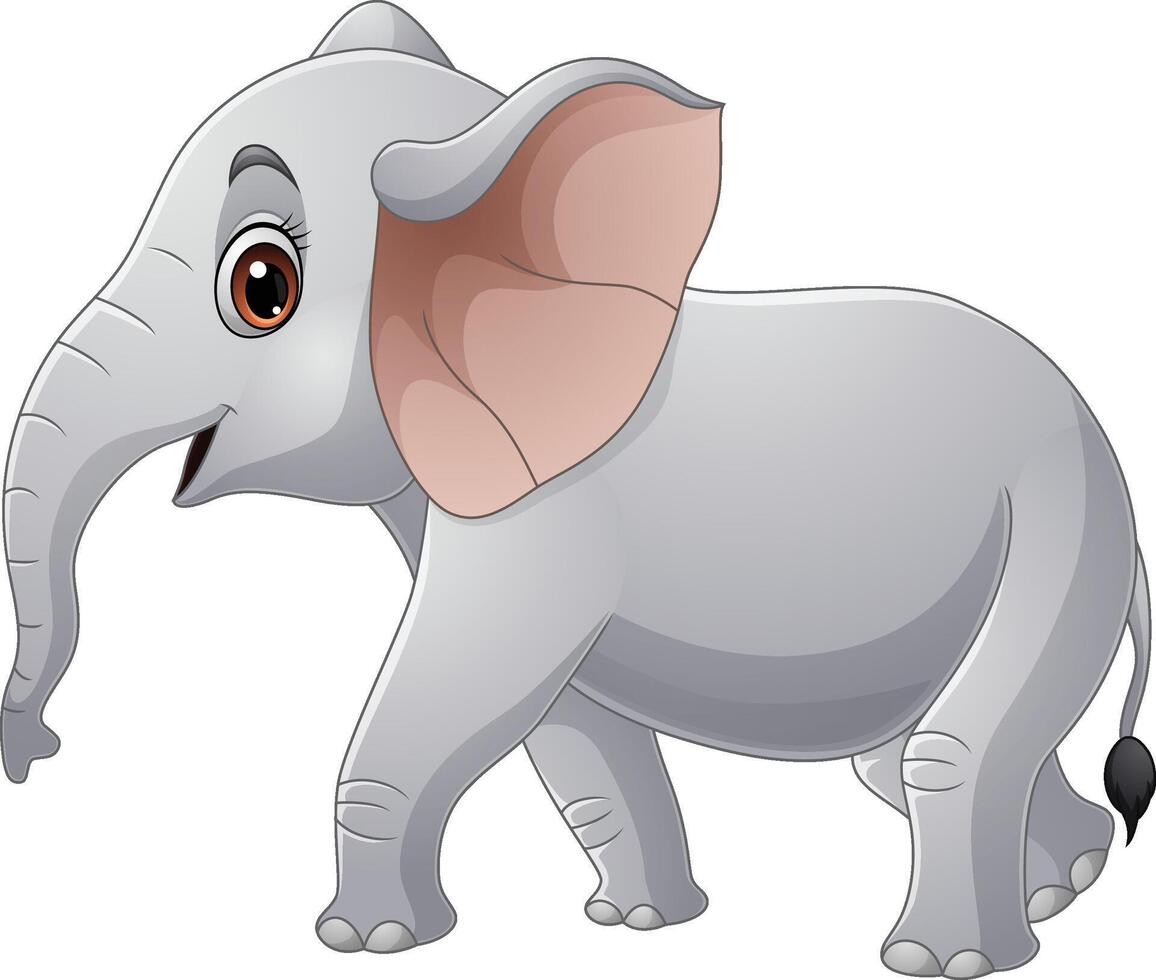 Cartoon elephant on white background vector