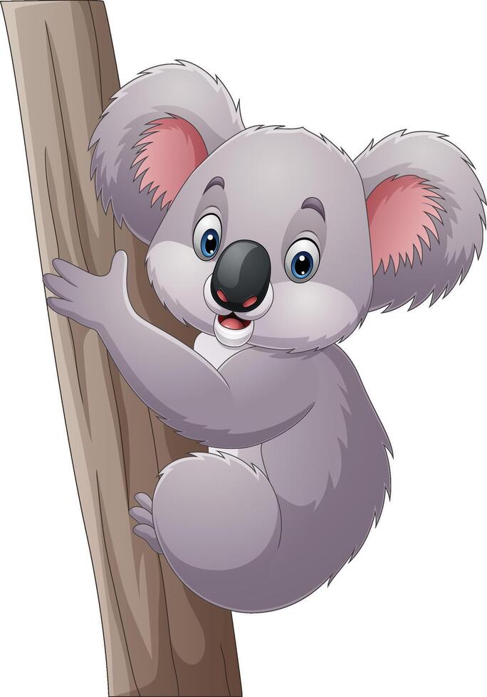 Cartoon koala on a tree branch vector