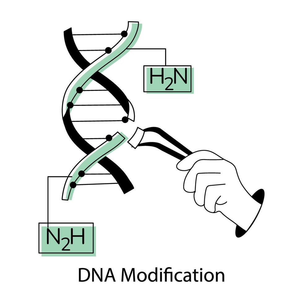 Trendy DNA Modification vector