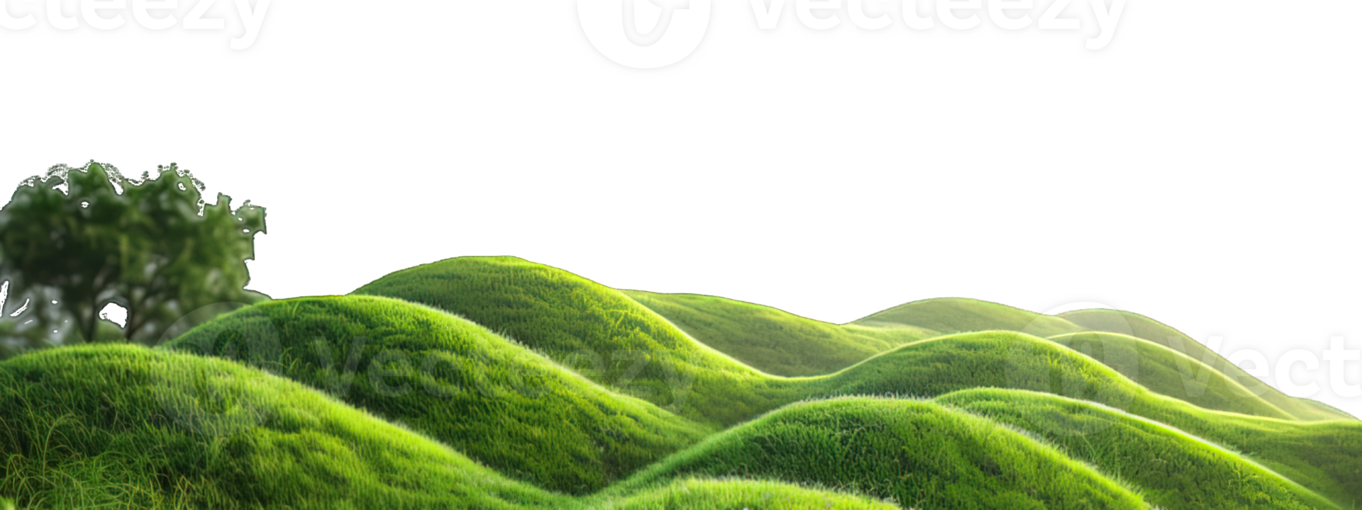 landscape green grass hill isolated on transparent background , png