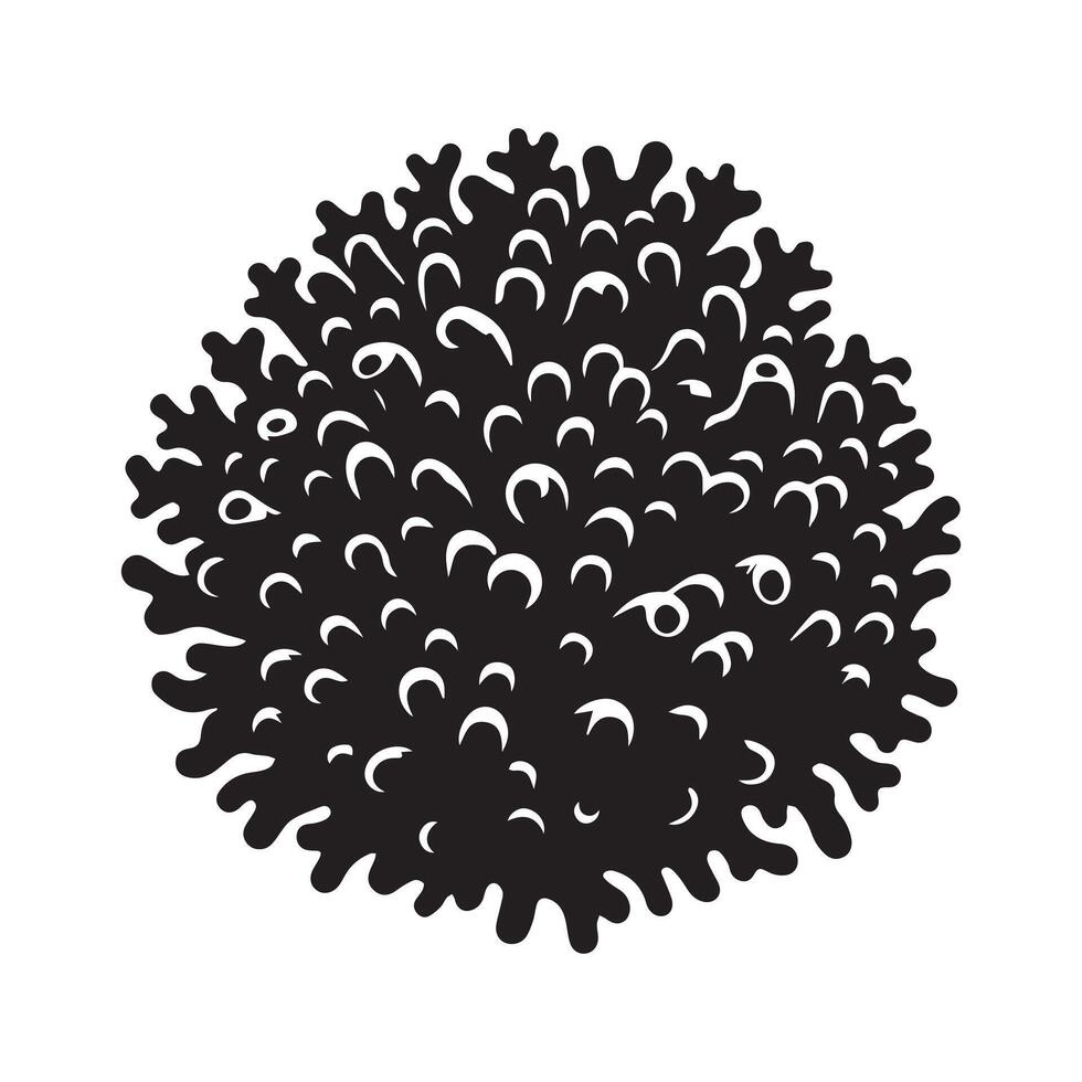 Astreopora coral illustration in black and white vector