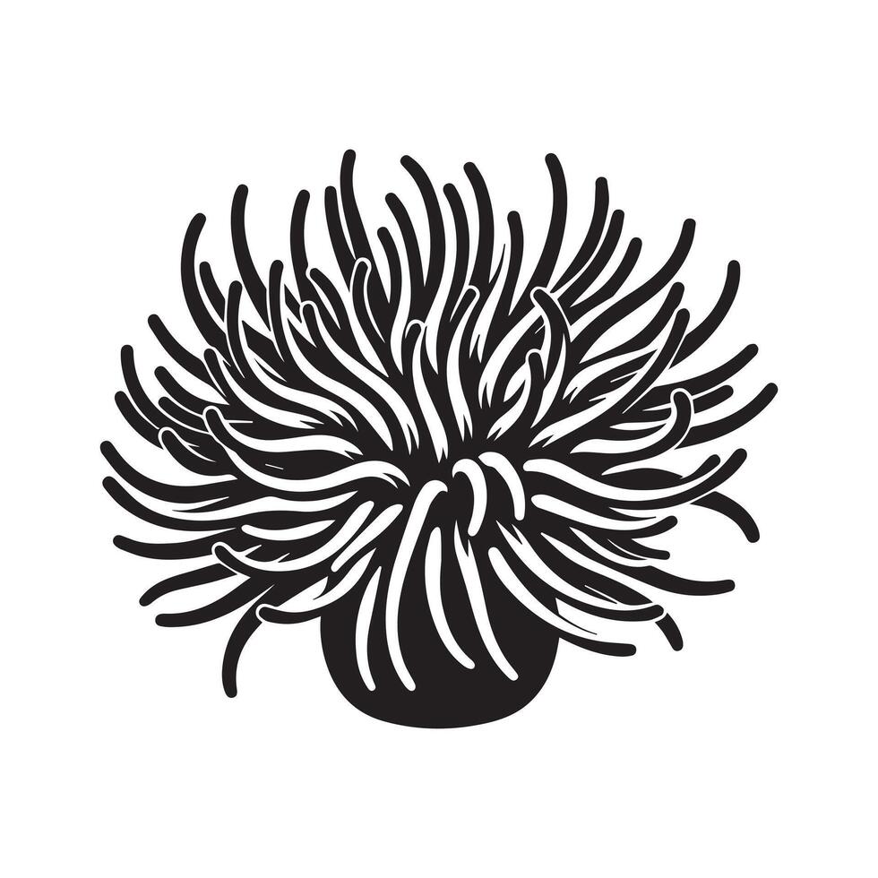 A Sea Anemone illustration in black and white vector