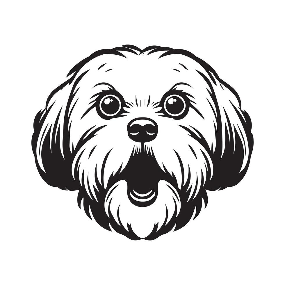 A Surprised Havanese Dog Face Illustration in black and white vector